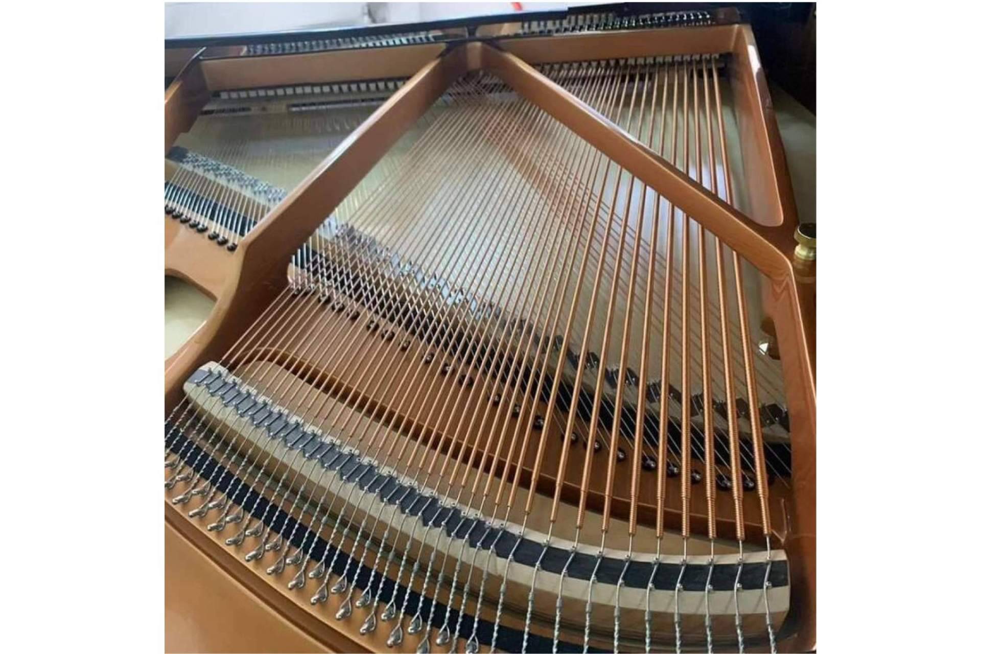 Real Music Spain, la plataforma especializada en pianos profesionales