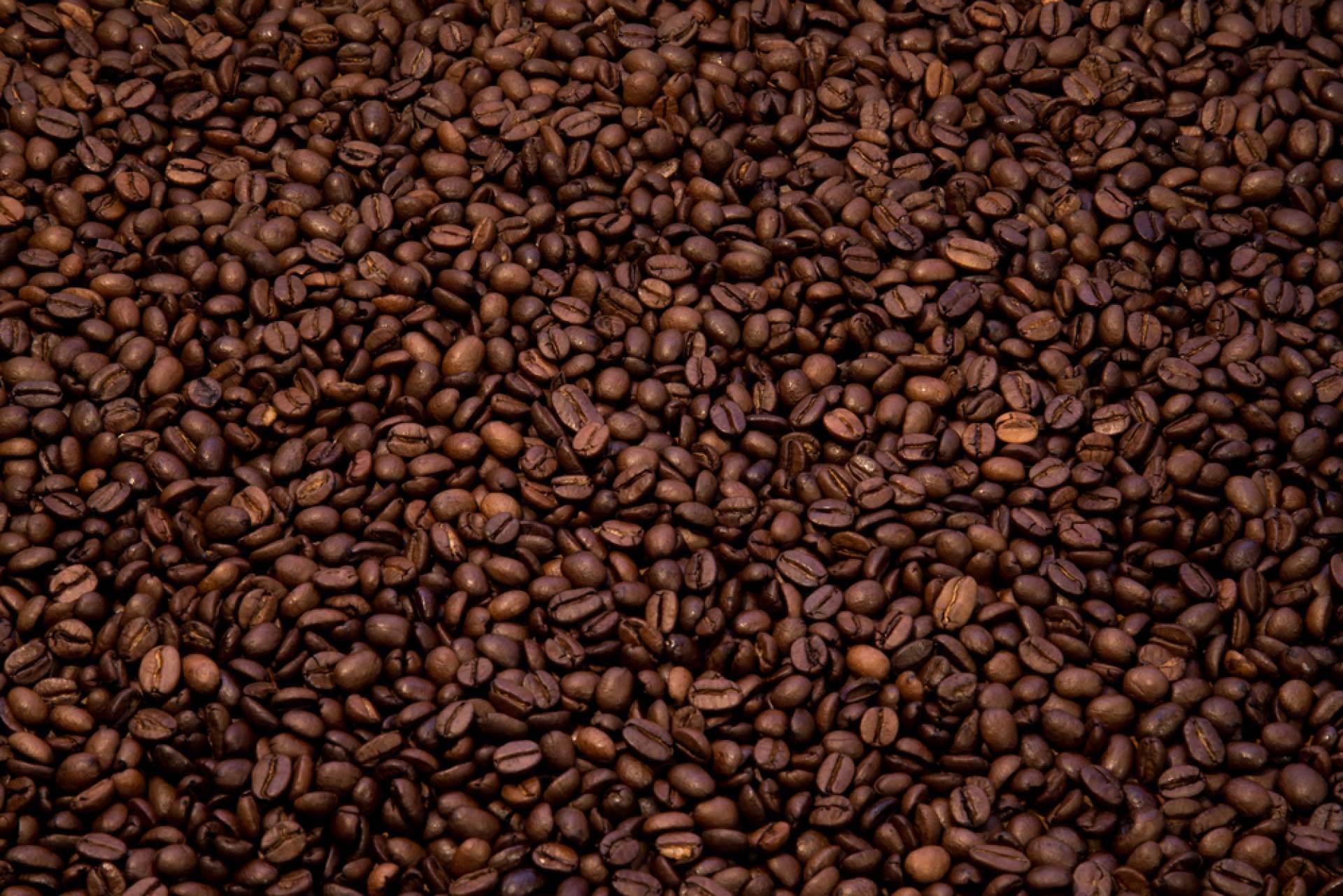 Motivos por los que abrir una franquicia y por qué hacerlo con Italy Coffee Tea Store