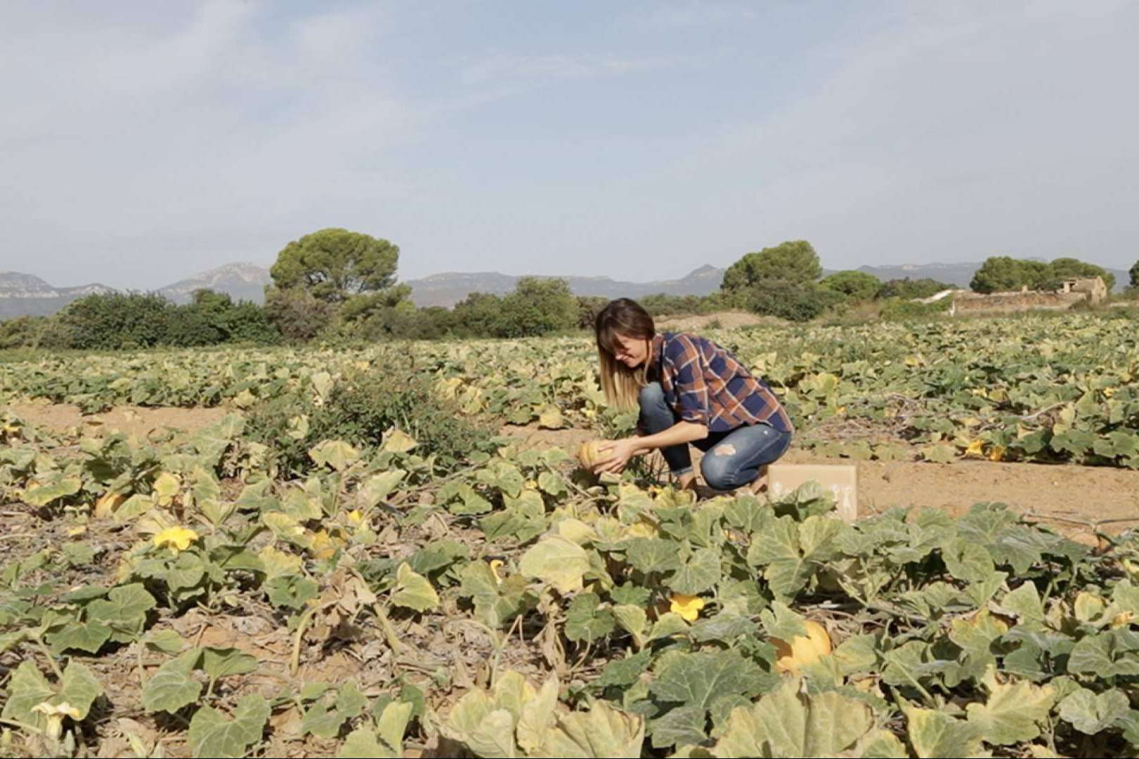 Adquirir verduras online en cualquier momento y desde cualquier lugar, de la mano de Disfruta y Verdura