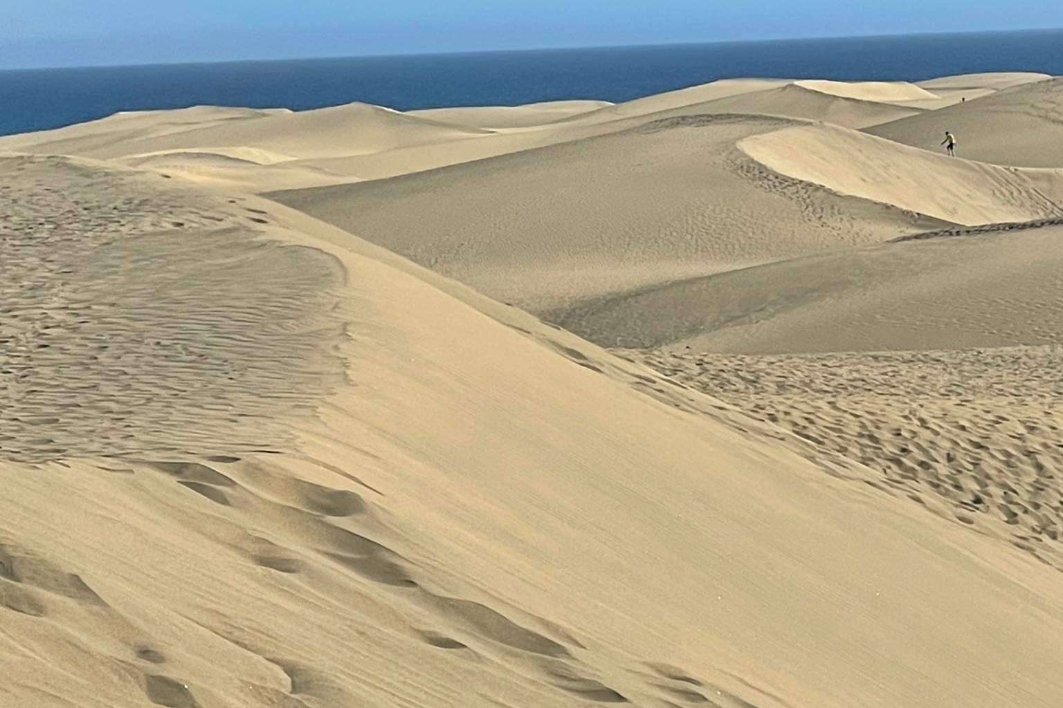 Inmoplanet Canarias se encarga del alquiler de propiedades en San Bartolomé de Tirajana