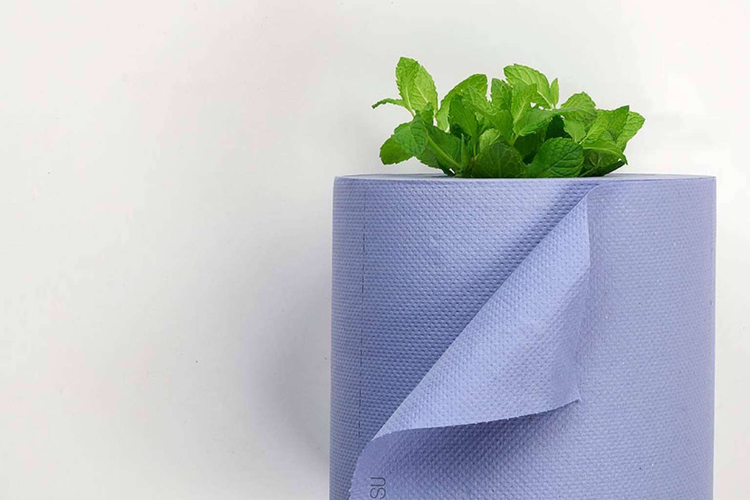 Limsatisu, manipulación de bobinas de papel tissue
