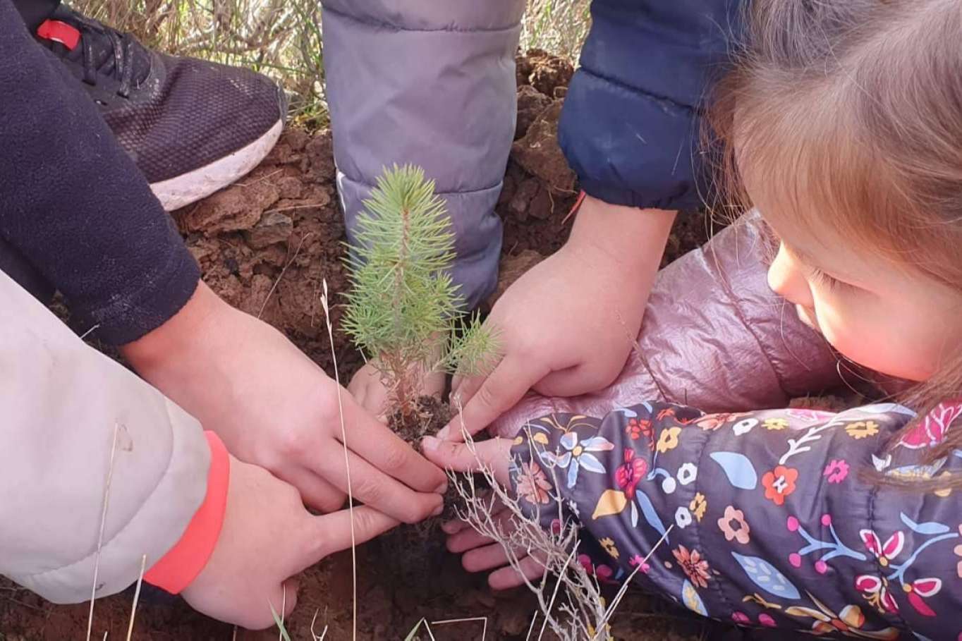 El compromiso de NONODOOM con el medioambiente; jornadas de plantación exitosas en La Rioja