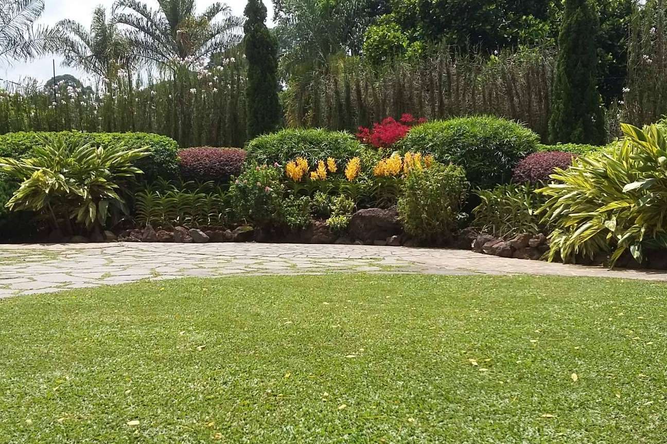 Gramigreen, especialistas en producir césped, gramón para jardines