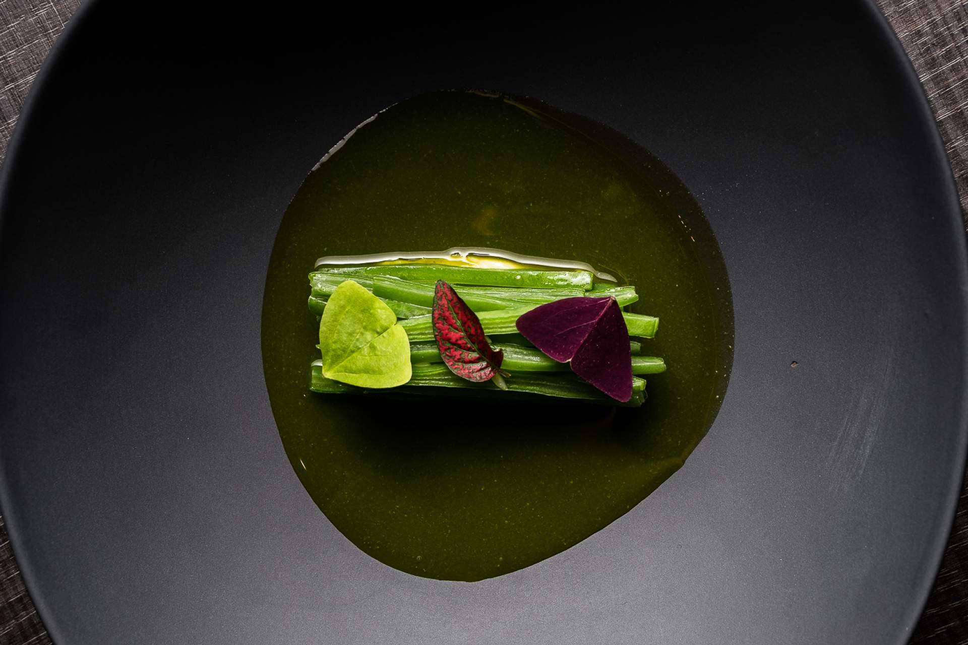 Invierno en verde, la alta cocina más saludable
