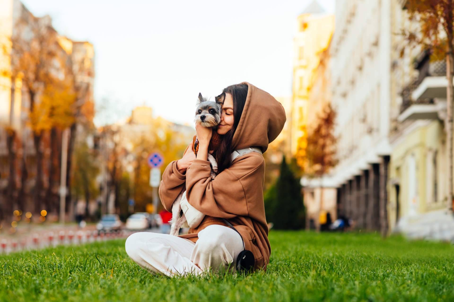 Emprender el camino a la felicidad; descubrir las increíbles becas de El Perro Feliz