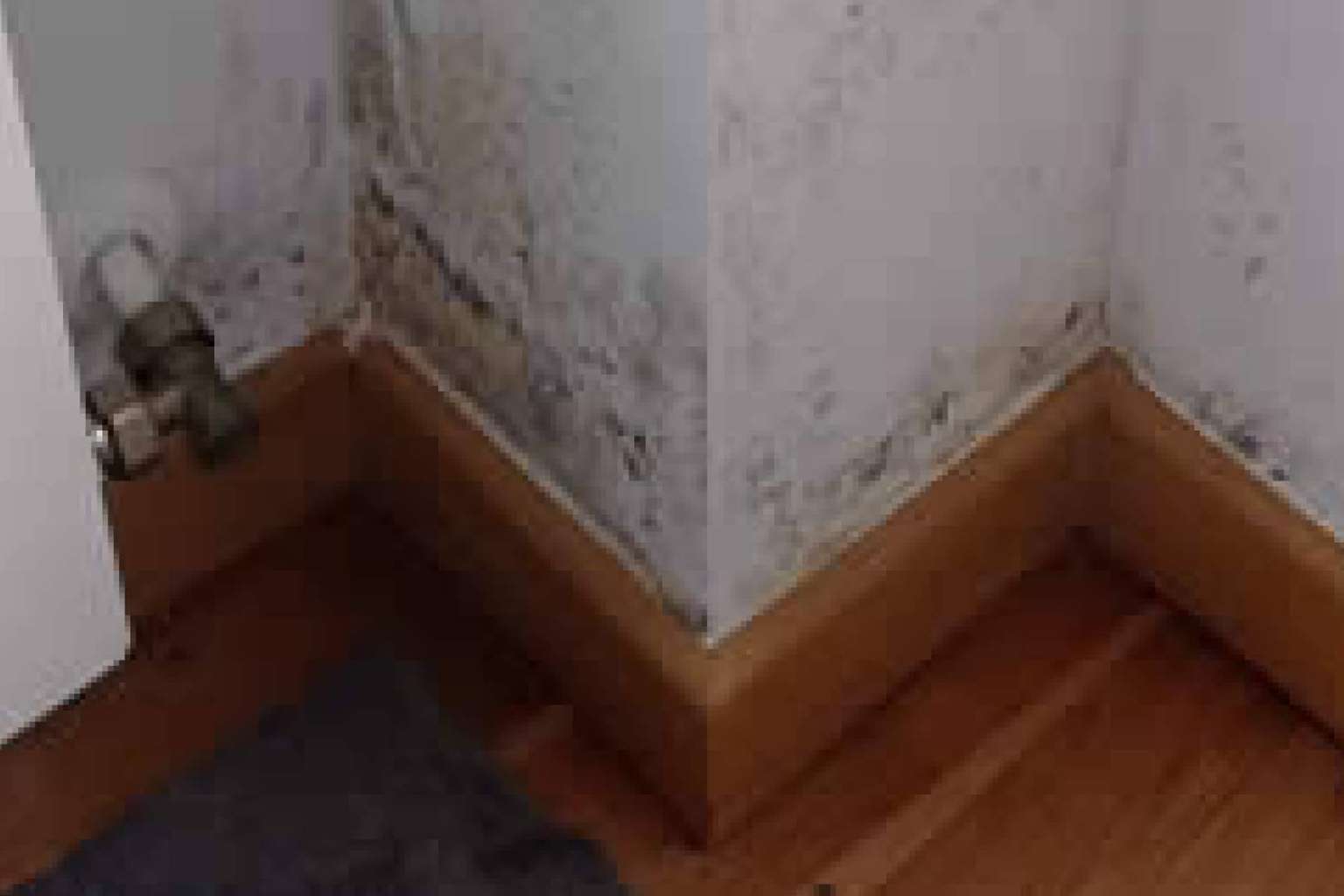 Sistemas contra la humedad por condensación en casa, con Hogar Seco