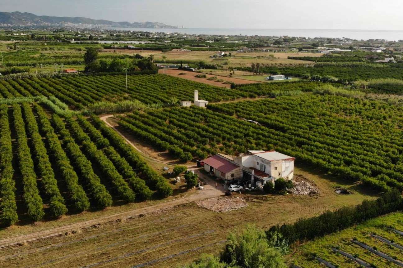 Zumo artesanal de finca y calidad premium, con La Imperfecta