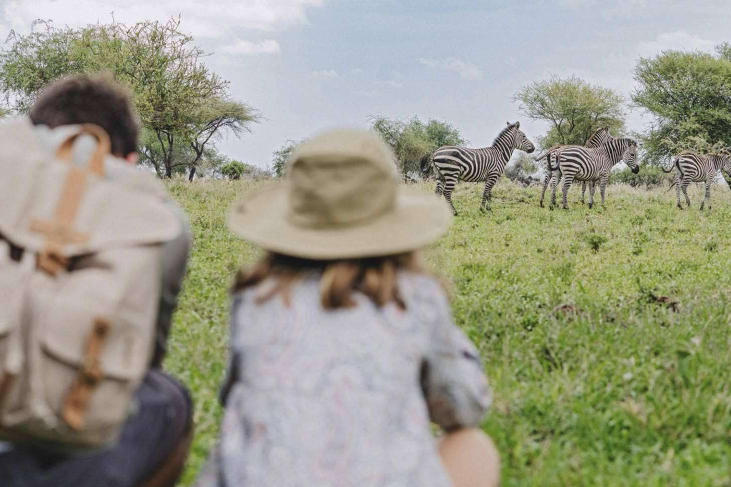 Safari para familias con niños o multigeneracionales con The African Experiences