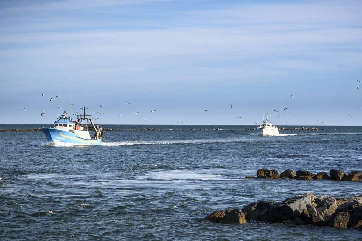 Lonja de Ayamonte, un referente en la venta online de marisco en Huelva