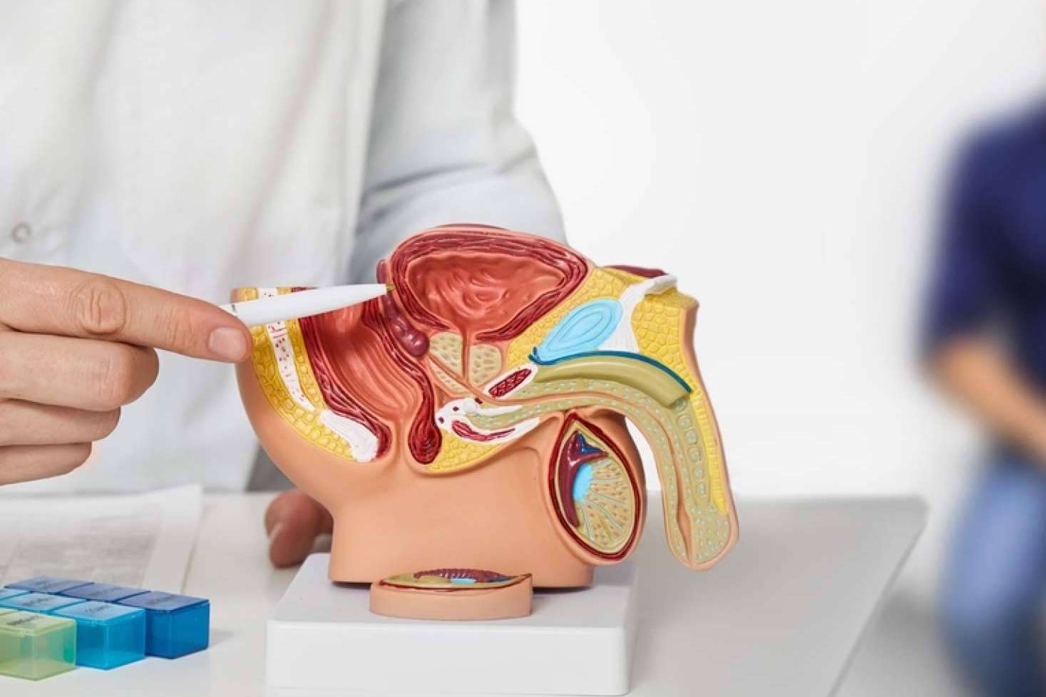 Desarrollo de un sistema para el diagnóstico de cáncer de próstata, de la mano de MiRNAX Biosens y el Hospital Puerta de Hierro