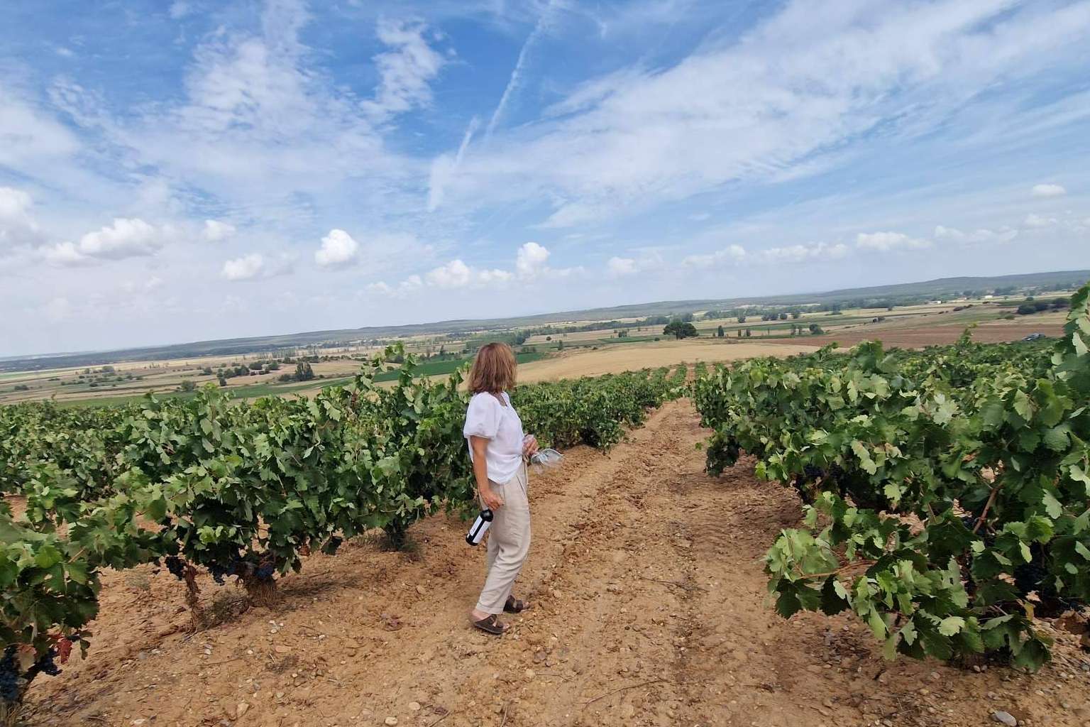 Disfrutar de una escapada rural para celebrar eventos privados en la Ribera del Duero, en La Ren Lecrés