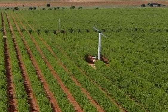 Innovación al rescate de los cultivos; los sistemas antihelada ecosostenibles que ofrece Grupo SPAG