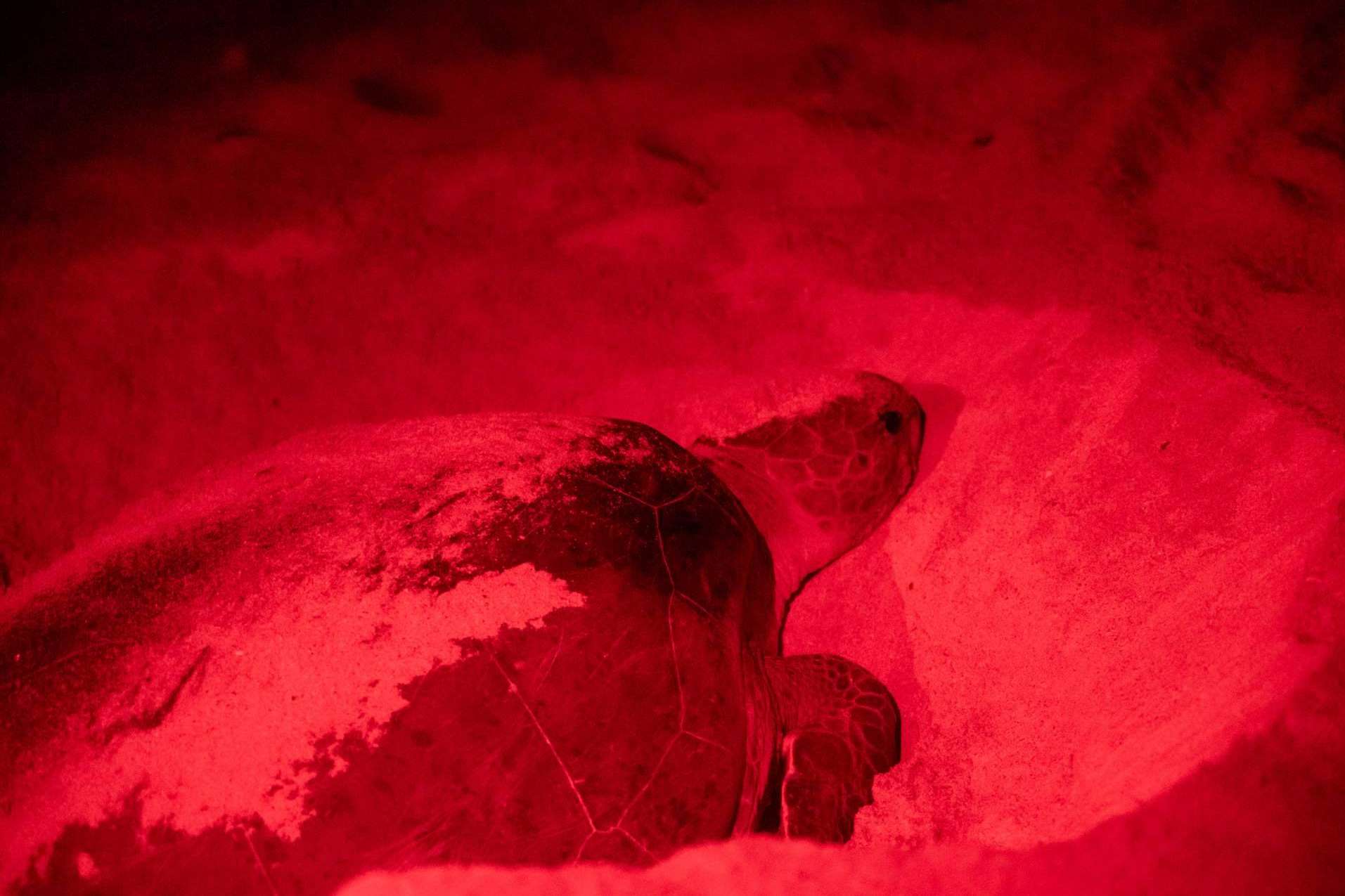 La majestuosidad del Archipiélago de Bijagós en Guinea Bissau, de la mano de TheAfrican Experiences