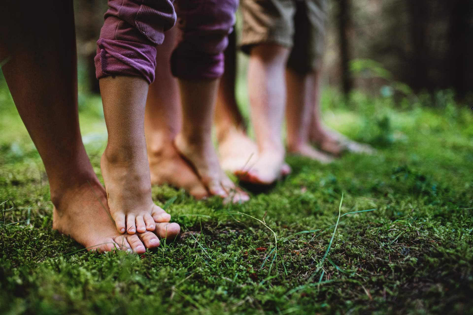 Baños de Bosque Madrid, una herramienta eficiente de salud y bienestar en el trabajo