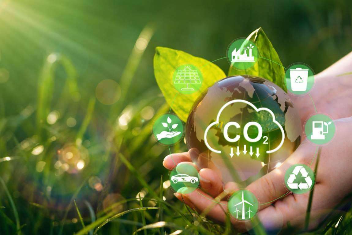 Ingade, una consultoría estratégica para reducir la huella de carbono en las empresas