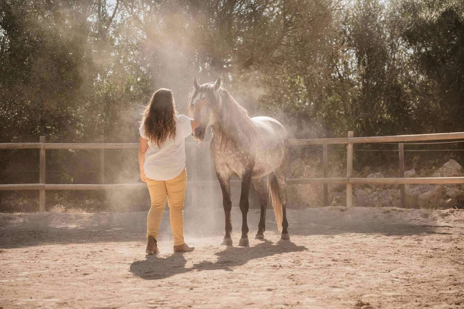 Coaching asistido de caballos para personas individuales con Son Cavalls
