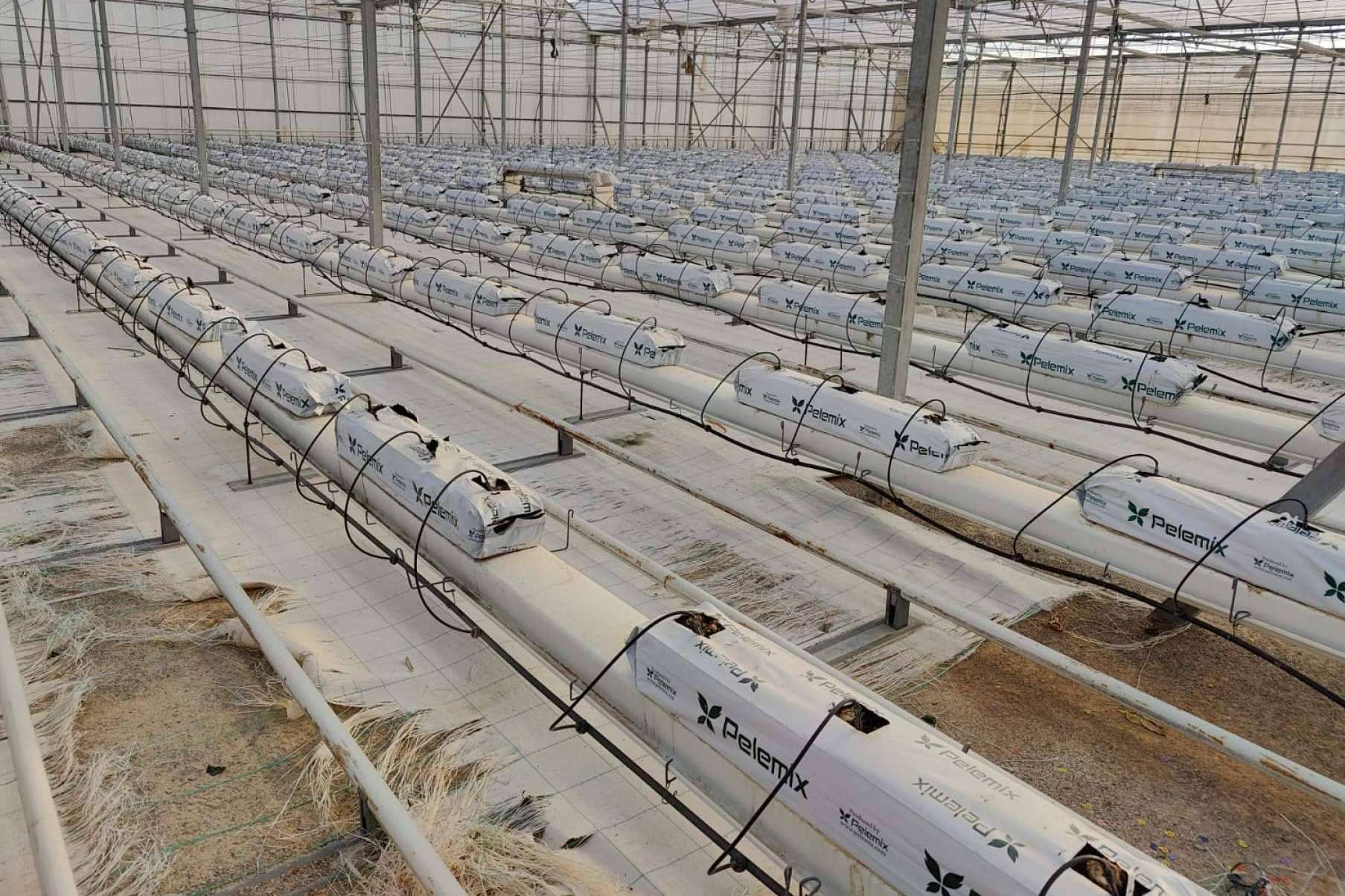 Agricultura sostenible de la mano de Pelemix; cultivos hidropónicos para luchar contra la sequía y el medioambiente