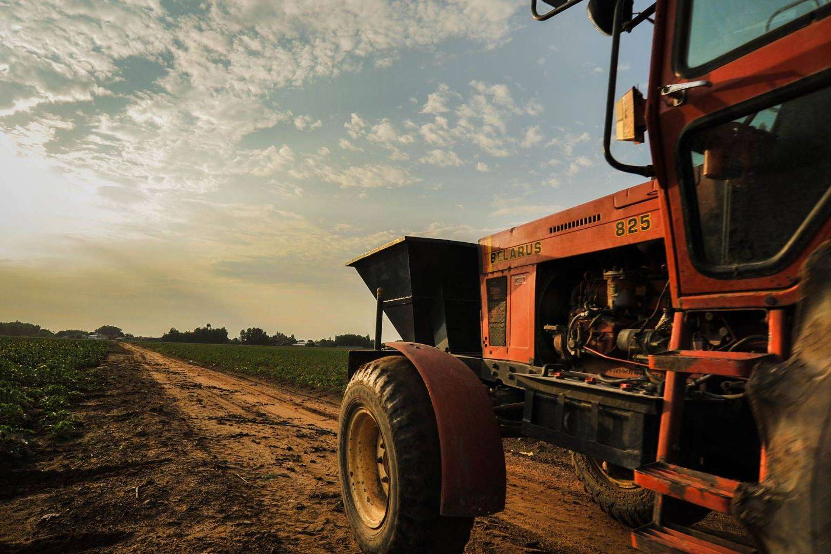 Ucoga se encarga de la gestión de seguros agrarios