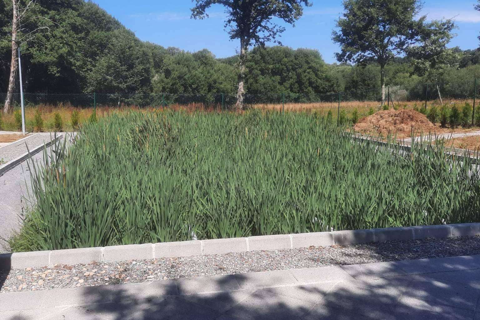 Los humedales como técnica medioambiental de reciclaje de aguas residuales, GoldProjects