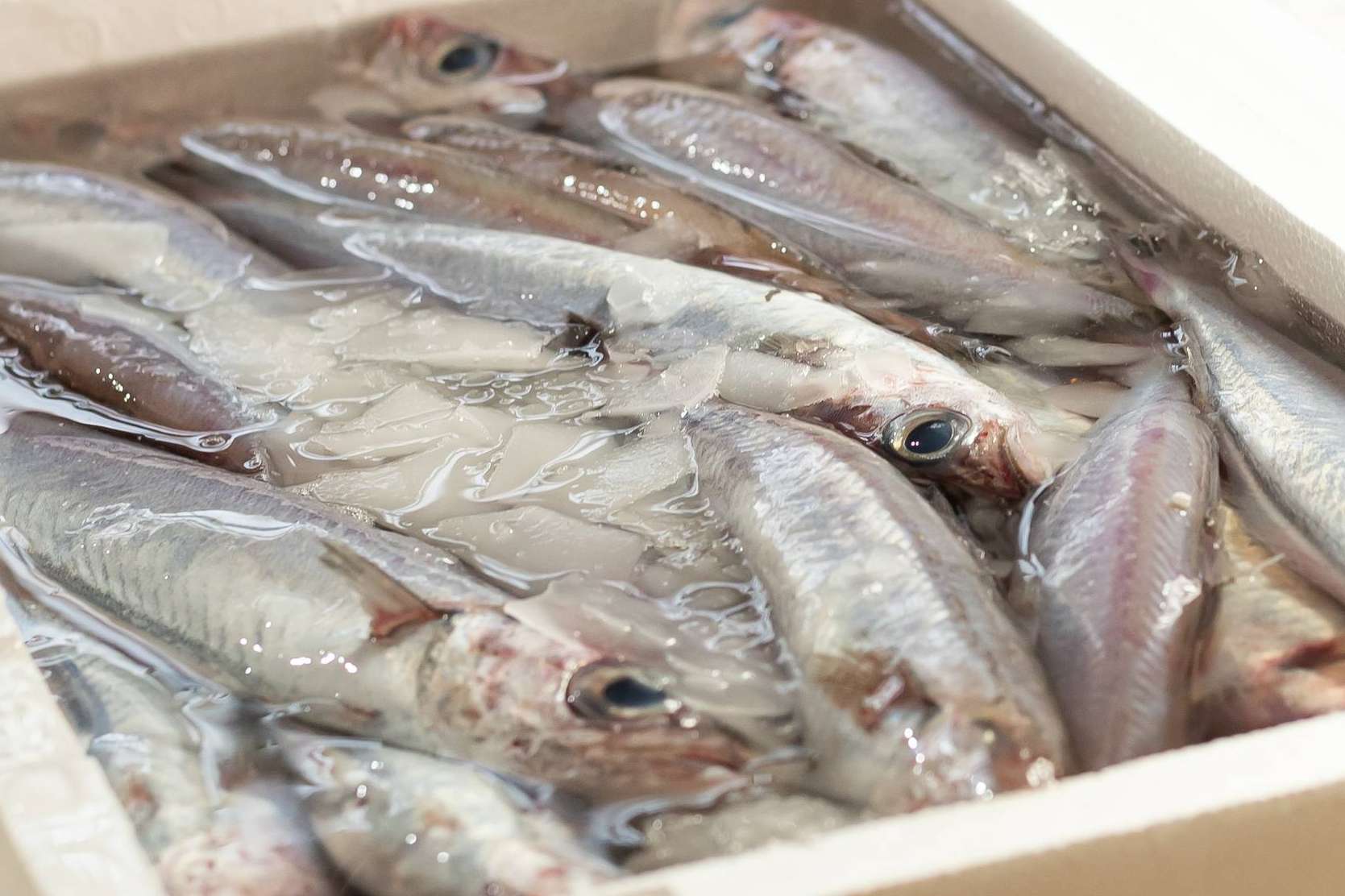 Marisco de Huelva directo a la mesa, en 24 horas y sin intermediarios de la mano de Lonja de Ayamonte