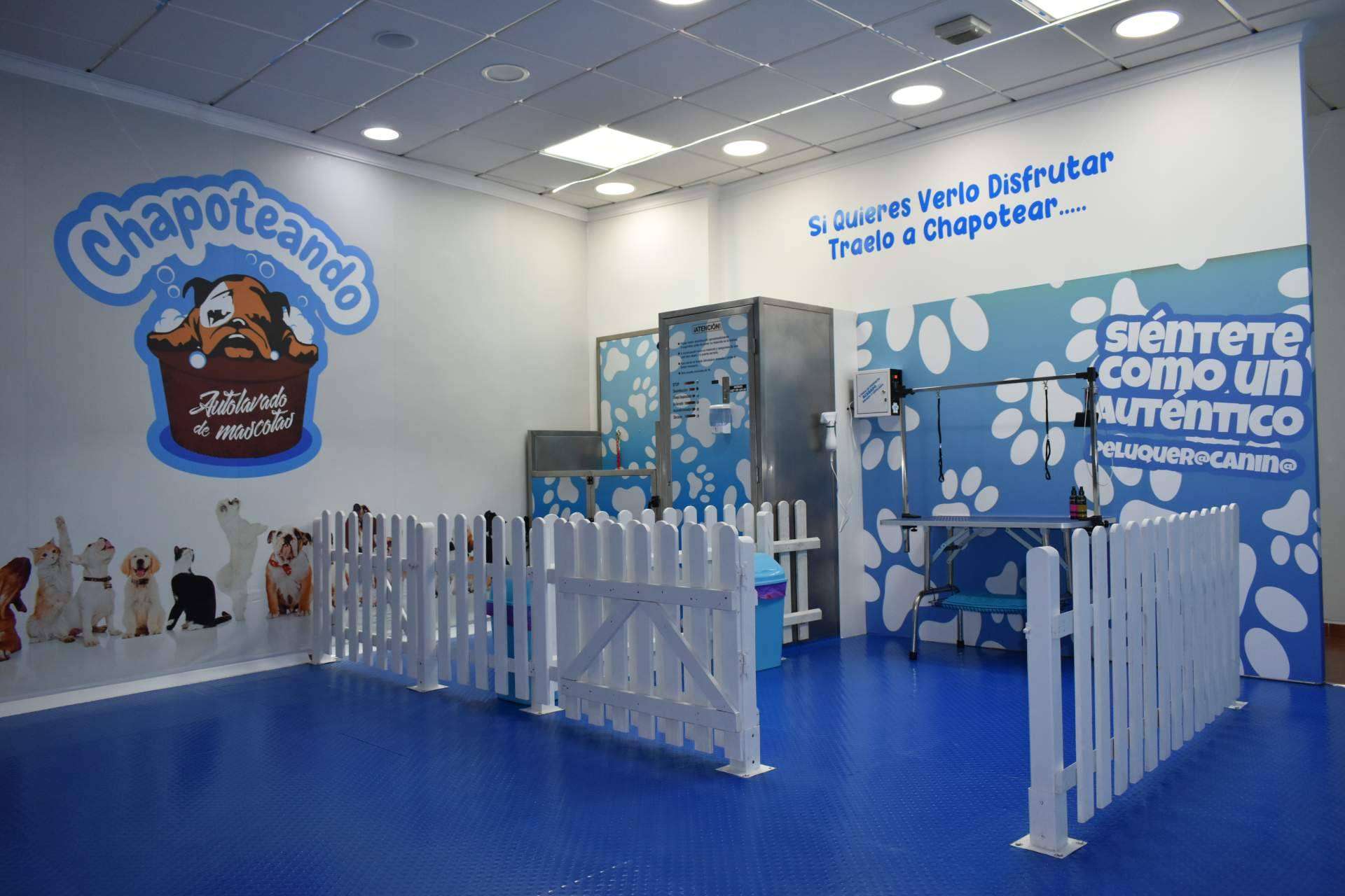 Chapoteando, el servicio de autolavado para mascotas de moda