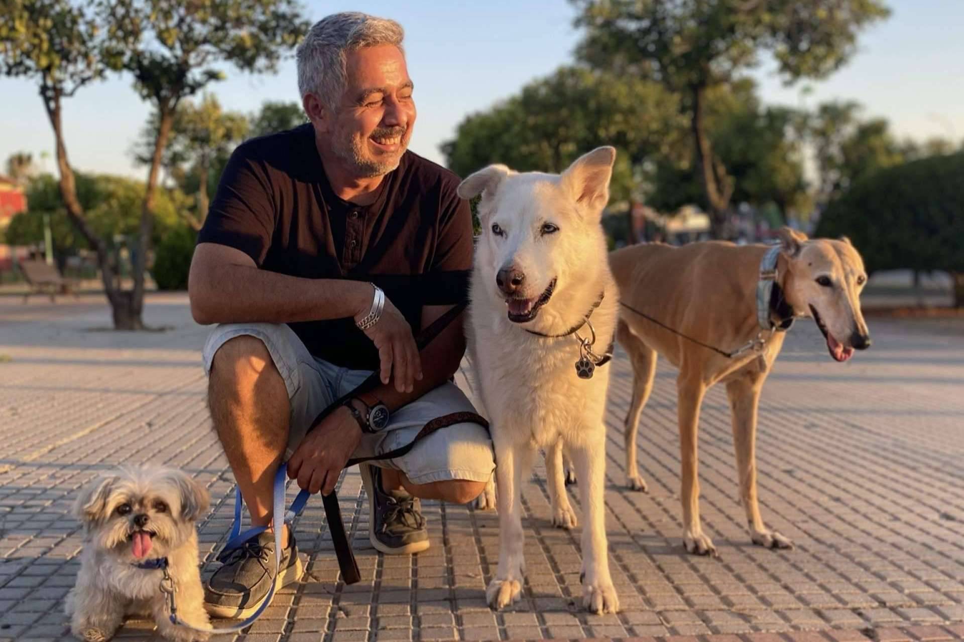 ¿Dónde encontrar servicios de adiestramiento canino? 4EverDogs