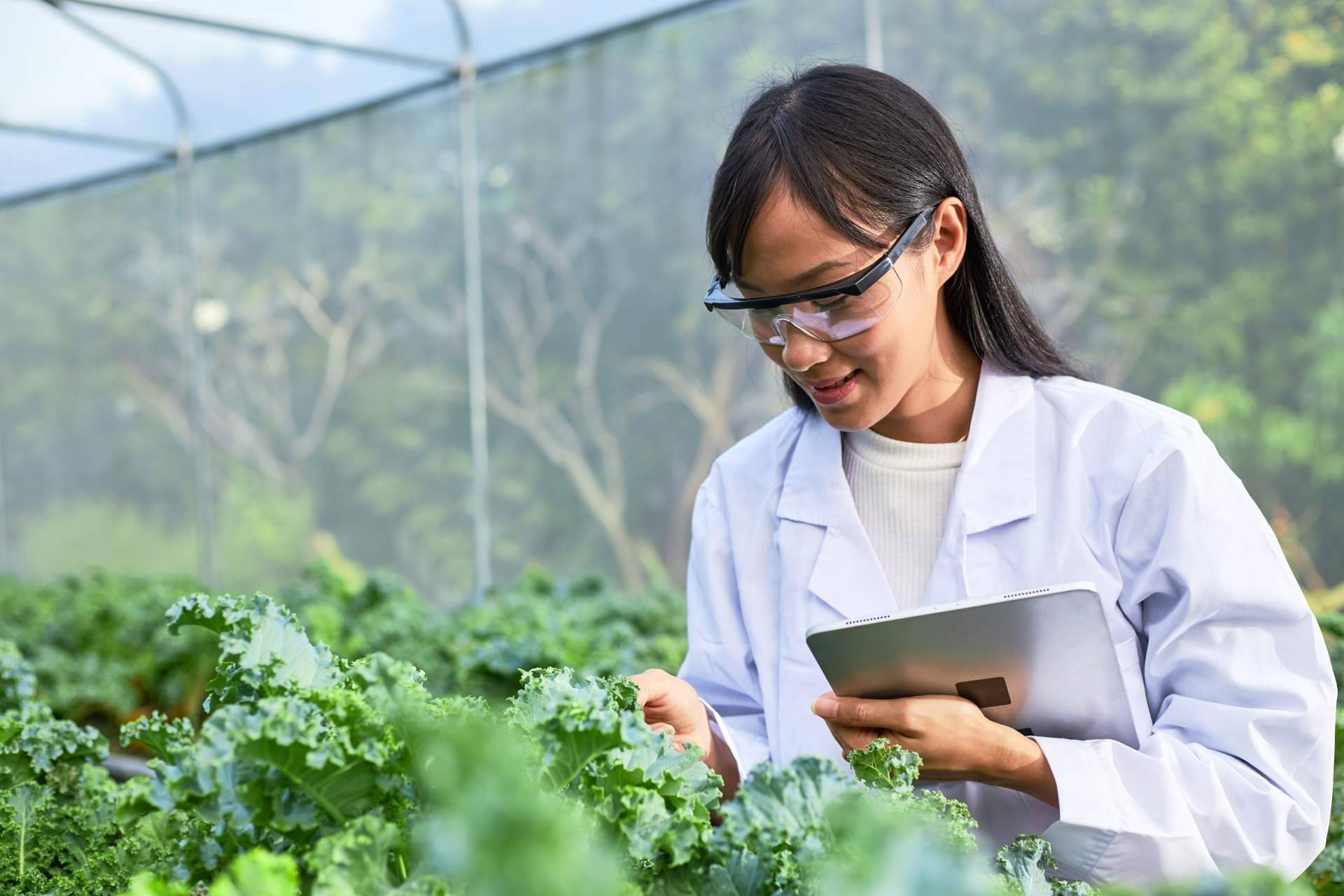 Expertos gestionan la obtención del Certificado GlobalG.A.P., una calificación que prueba buenas prácticas agrícolas