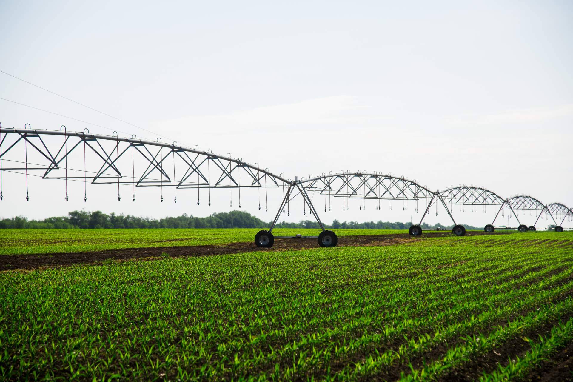 La feria especializada en agricultura de regadío y desarrollo rural, ExpoFare, celebra este 2024 su octava edición