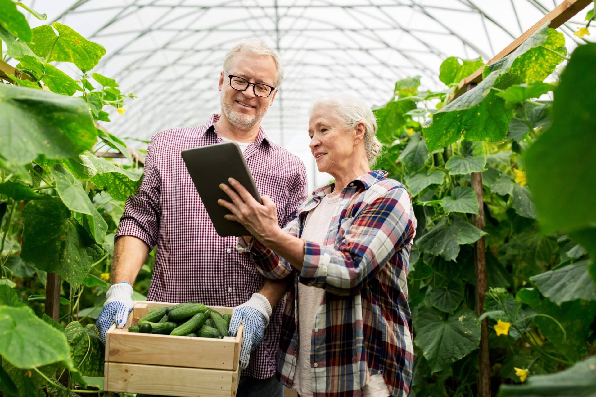 Certitec da la posibilidad de gestionar los cuadernos de campo y la trazabilidad de la producción