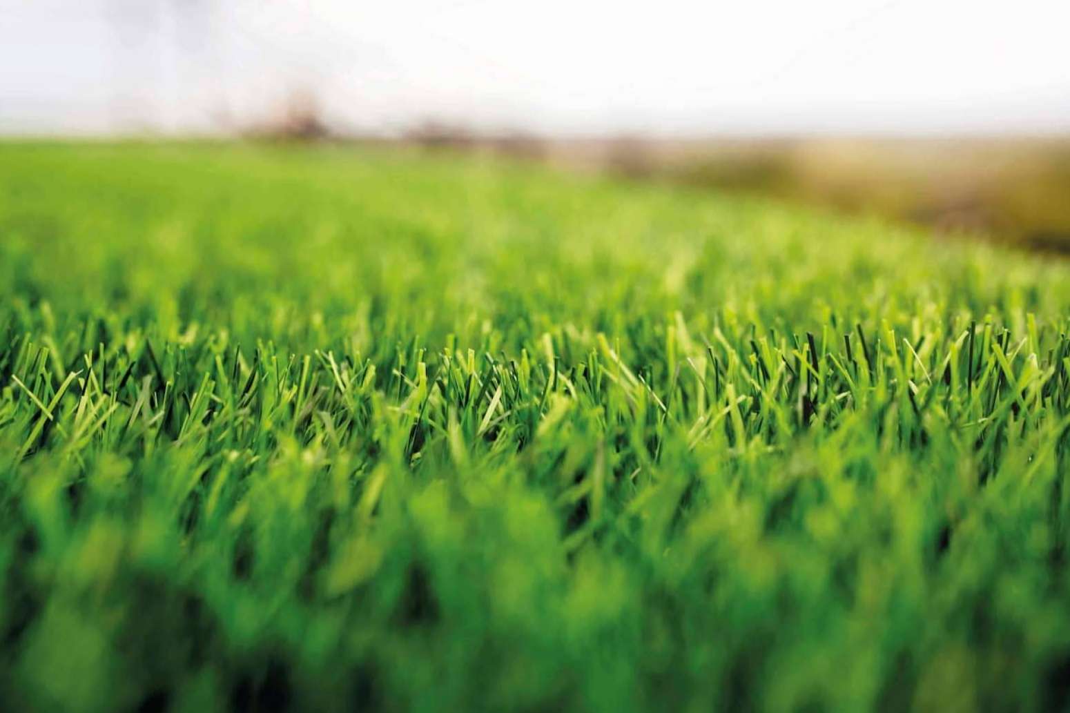 La alta tecnología del césped artificial de Albergrass
