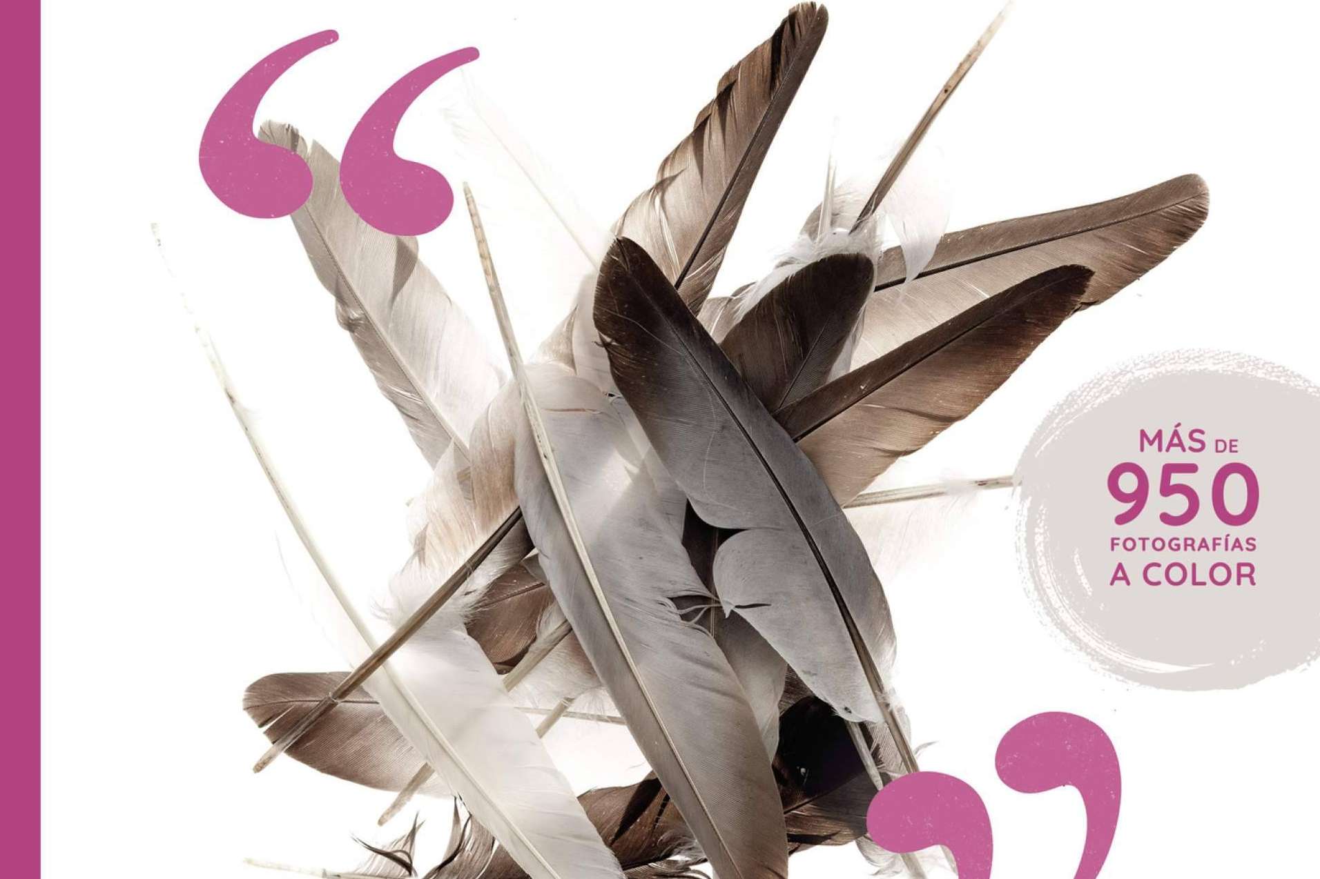 'Formas de Comunicación de las Aves' por Lorenzo Roca Moreno, una exquisita exploración del reino de las plumas