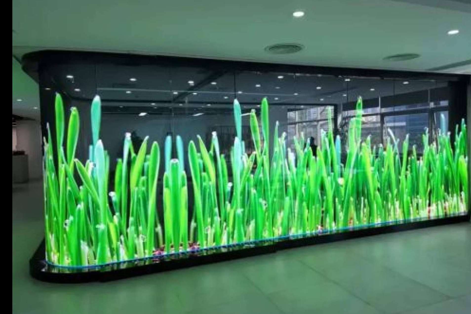 New Tech Store ofrece soluciones innovadoras para hologramas y señalización digital