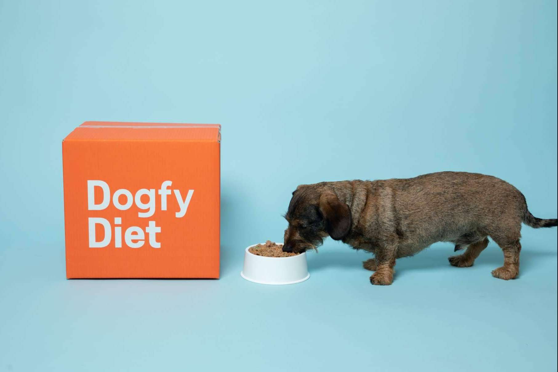 Dogfy Diet y sus soluciones naturales para la alimentación de perros; Revolucionando la nutrición canina