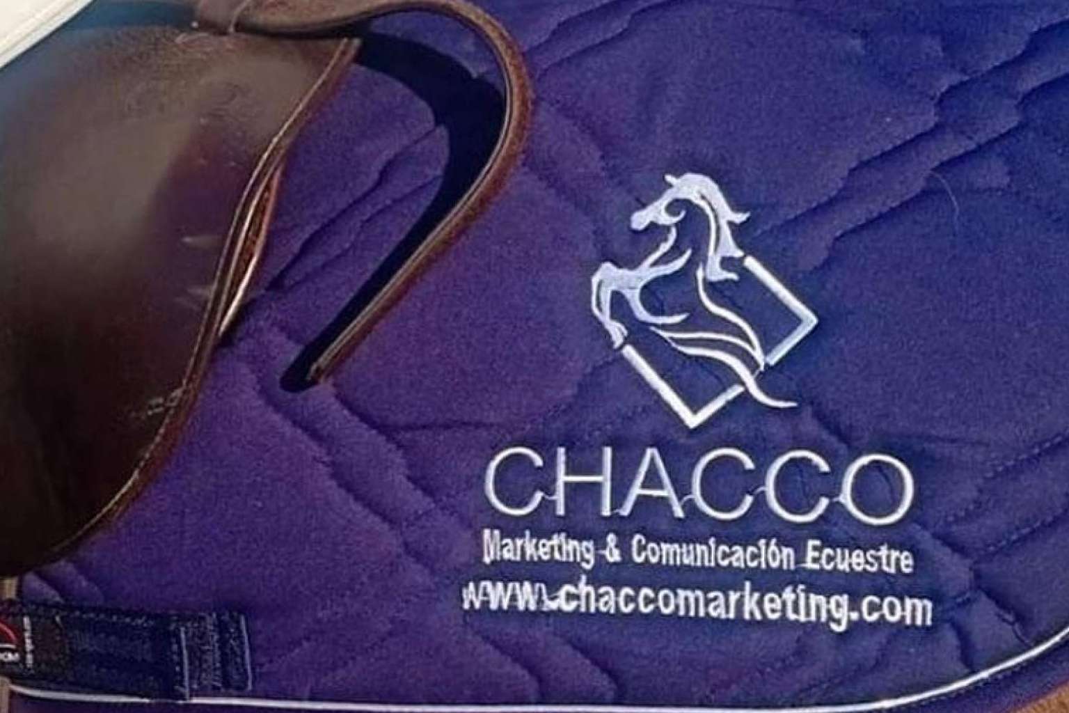 Expertos en marketing del sector ecuestre, con Chacco Marketing