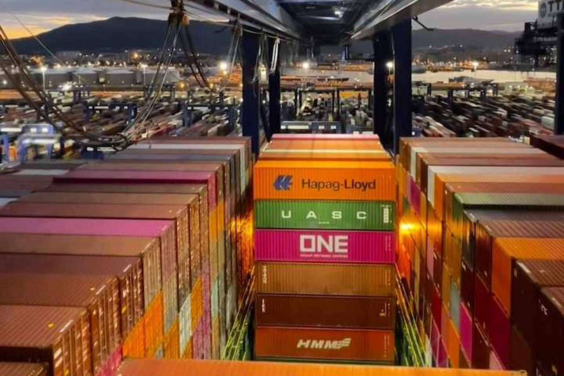 Marterra Transitaria se especializa de cada paso en la importación de cítricos