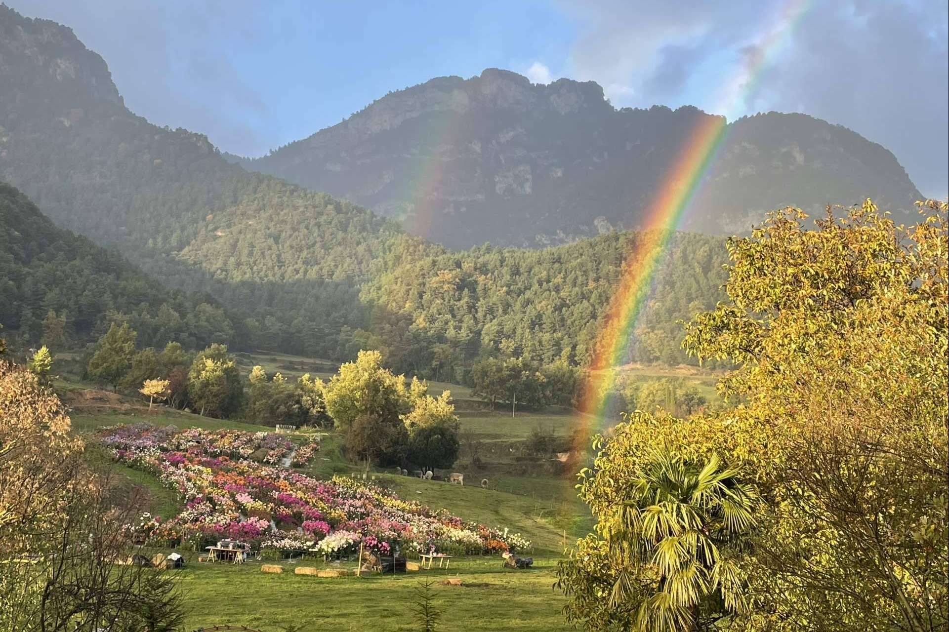 Un refugio para los amantes de la naturaleza y las flores es Niudàlia
