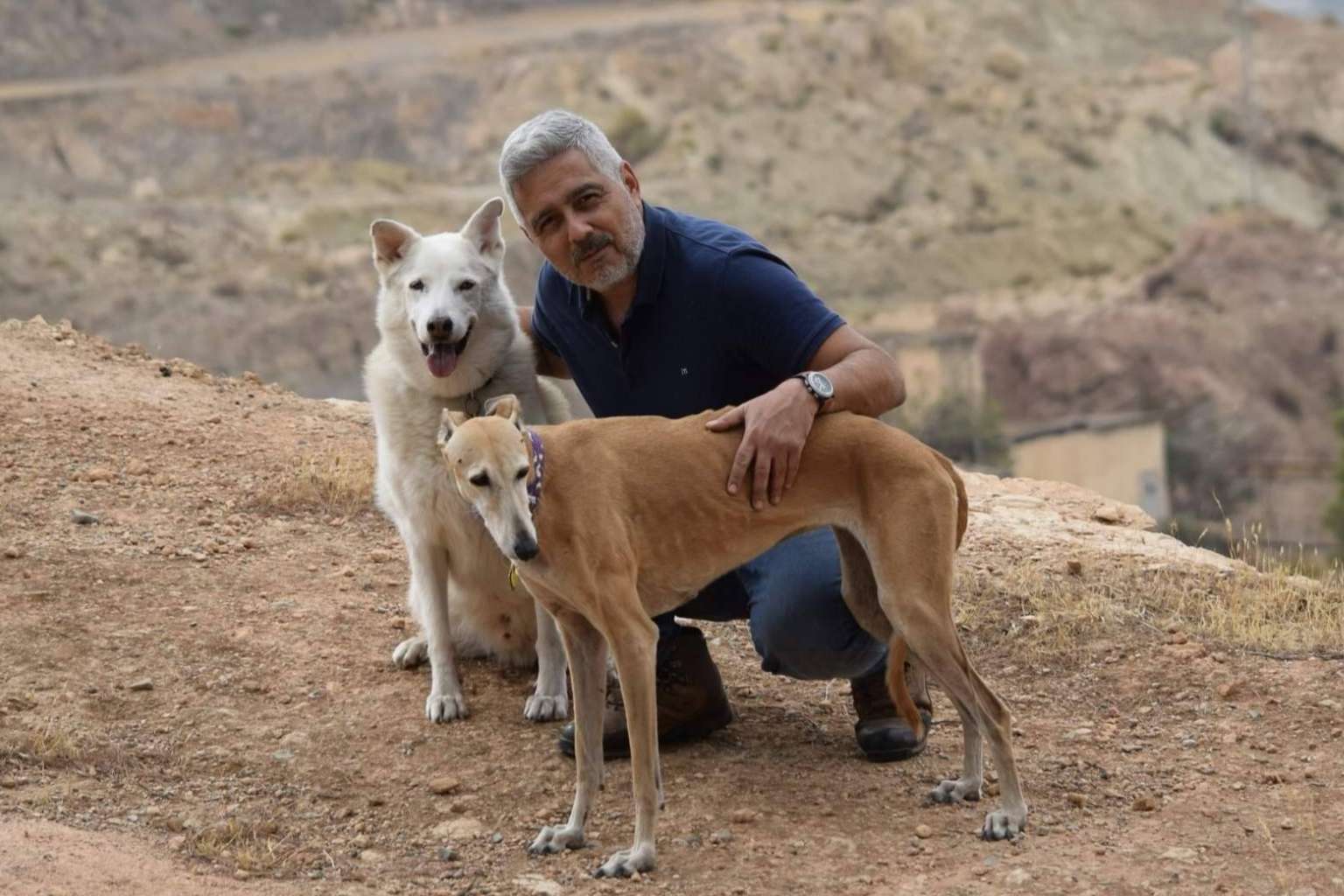 Educación y cuidado de los perros respetando su naturaleza con 4EverDogs