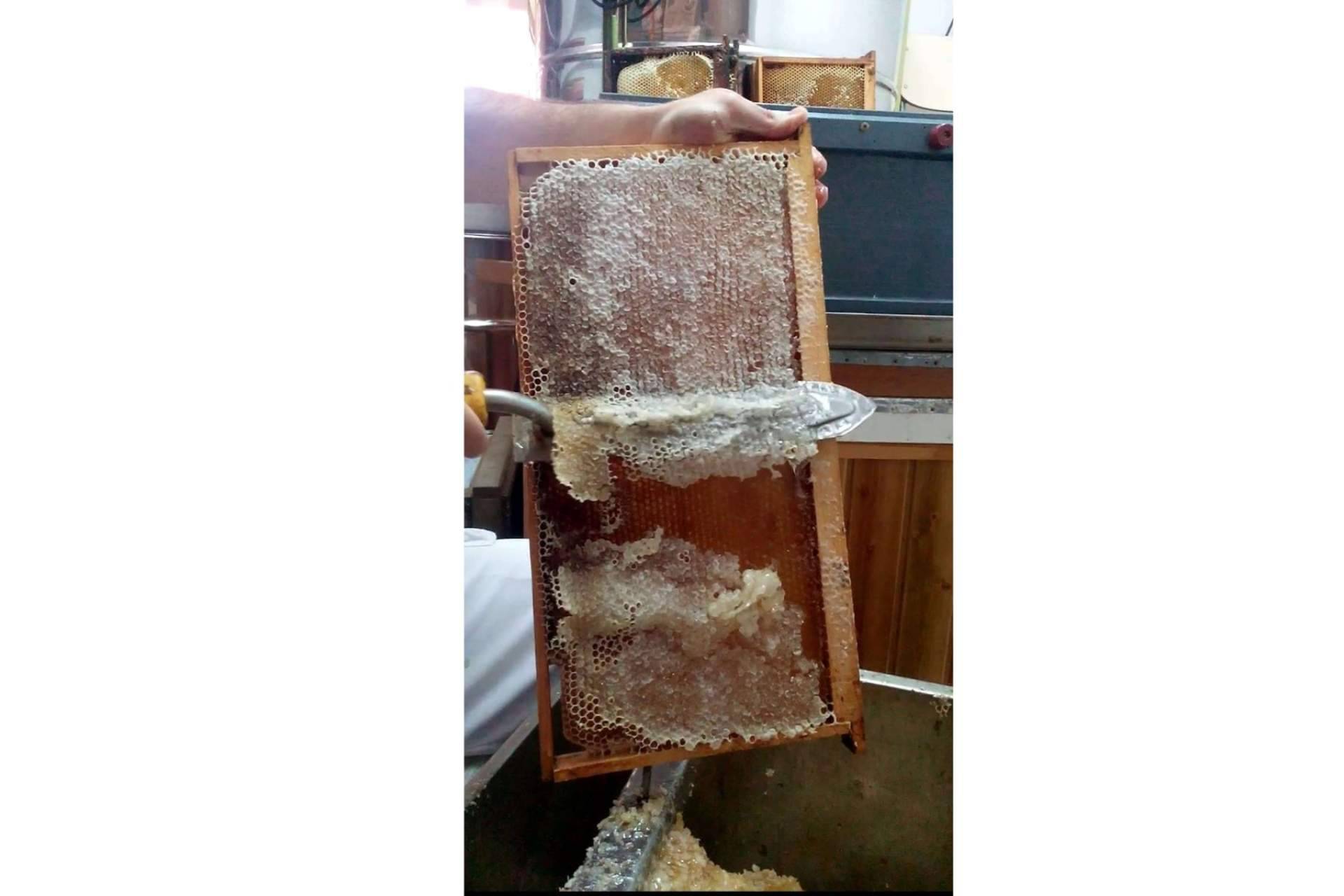 Miel natural cruda de El Colmenar de Ángel, una delicia de lo más saludable