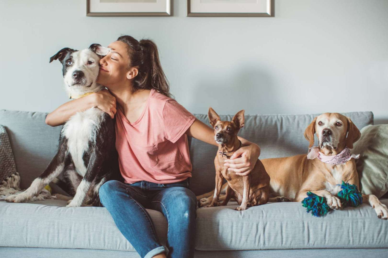 Ucoga y su gama de seguros para mascotas