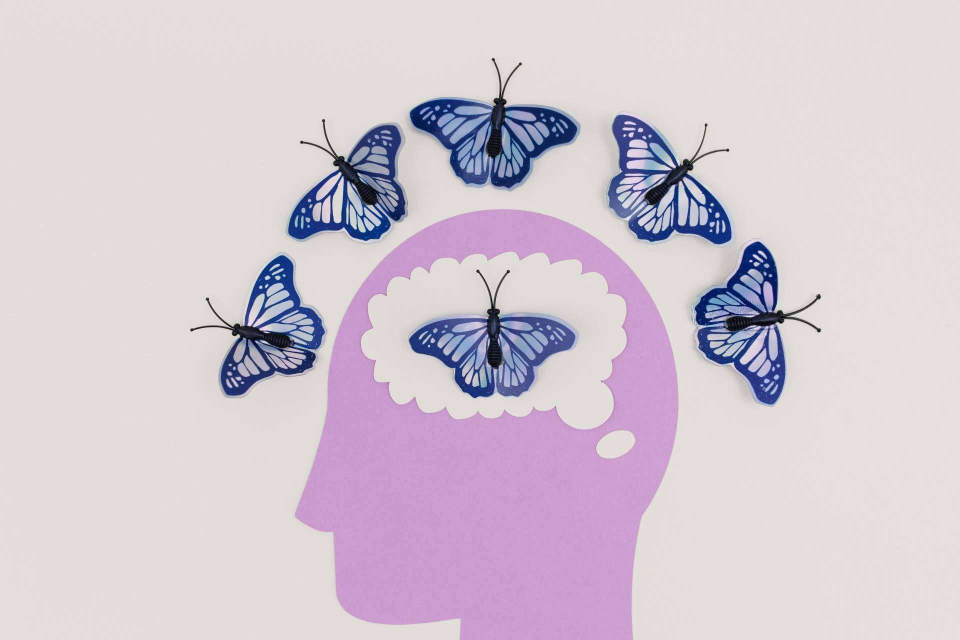 La Programación Neurolingüística como herramienta eficaz para reprogramar el cerebro