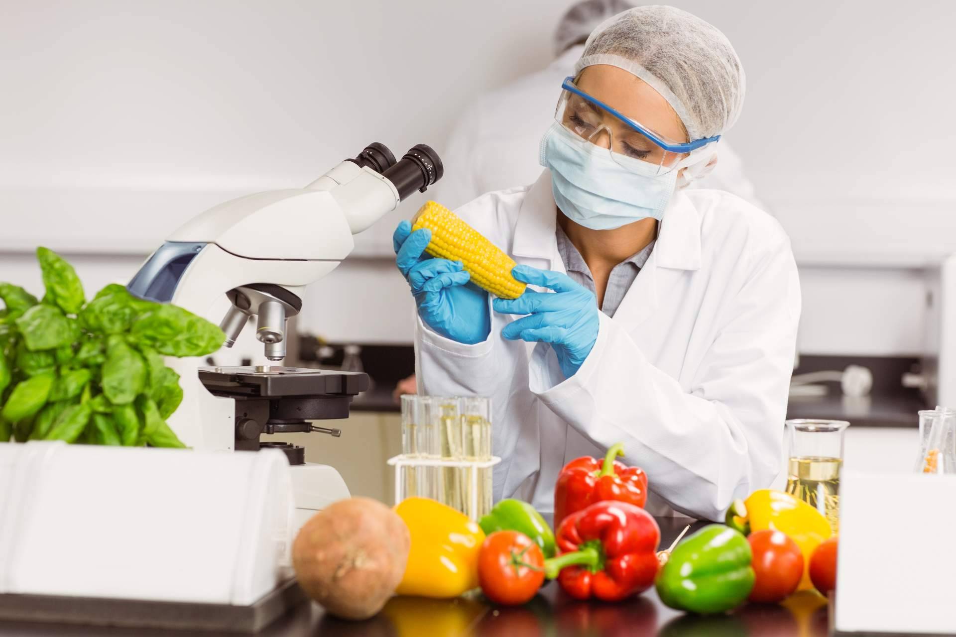 Soluciones especializadas para el cumplimiento de las normas GFSI sobre seguridad alimentaria, con Ingade