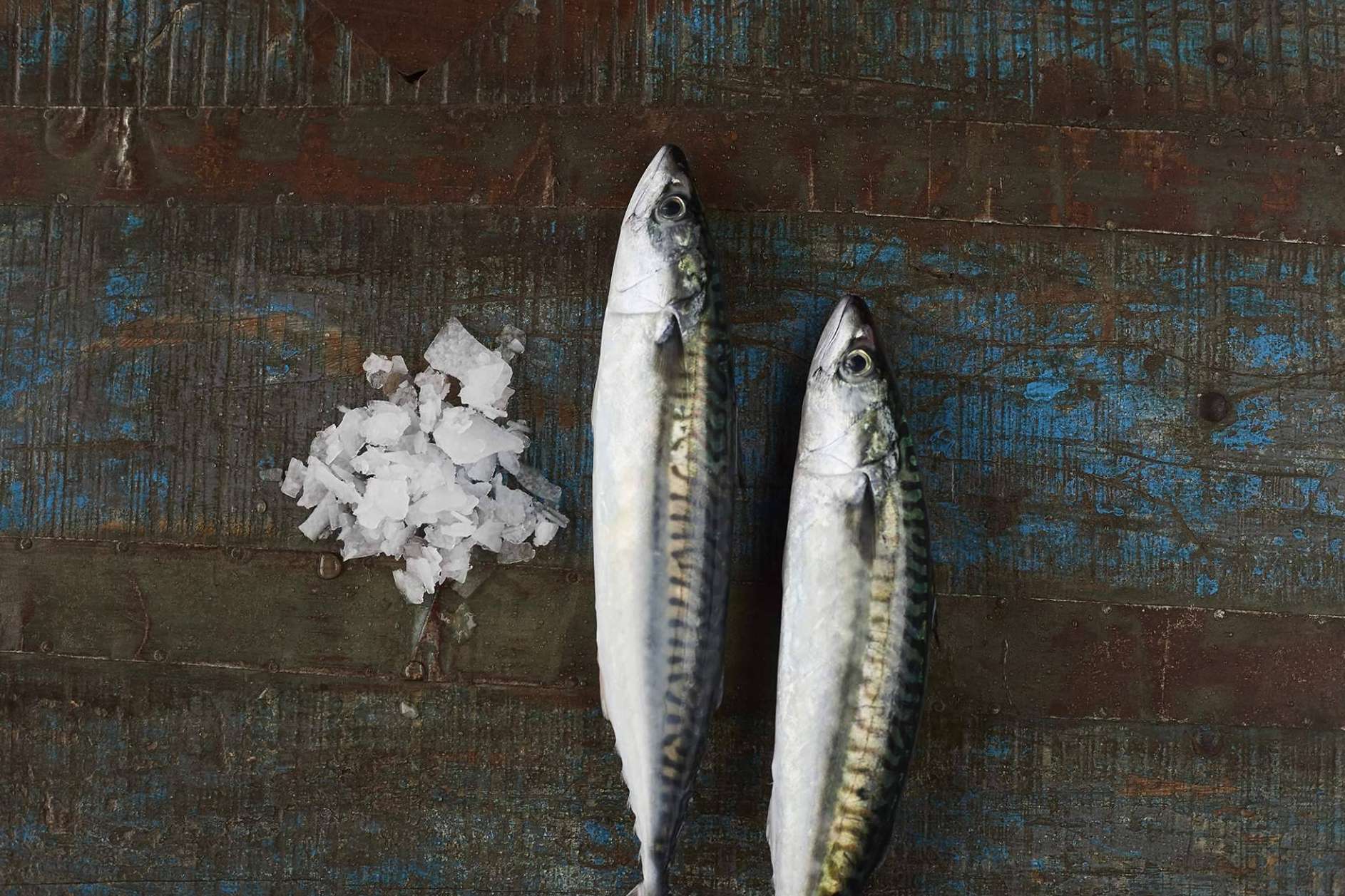 Beneficios del pescado fresco para la salud y la gastronomía