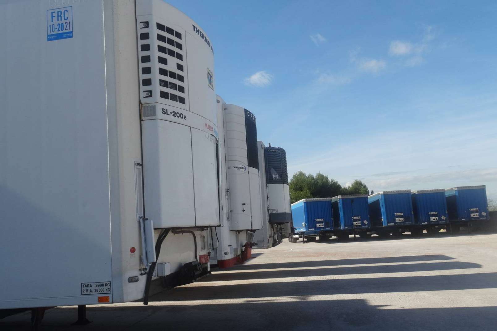 Alicotrans, una cooperativa enfocada en optimizar la cadena de transporte y maximizar ganancias