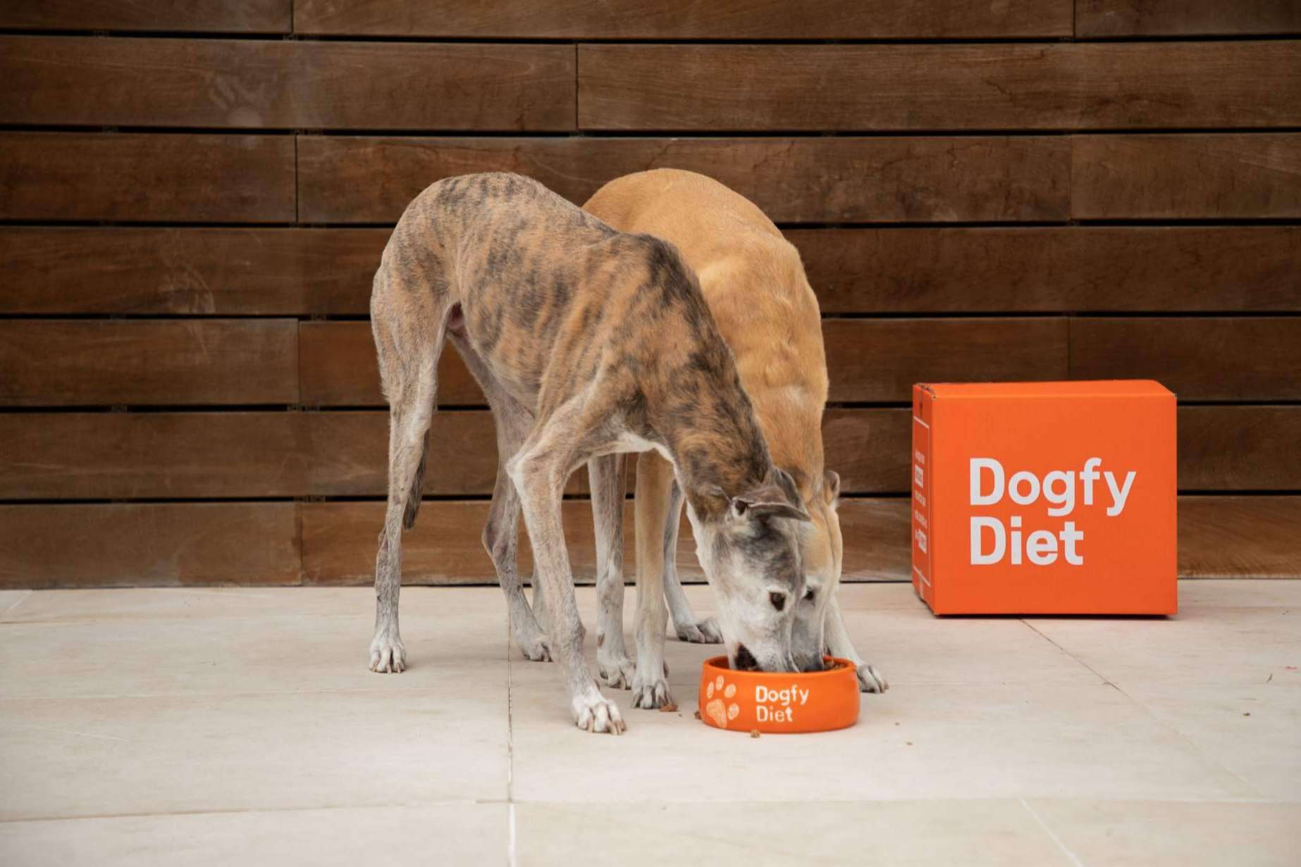 Beneficios de la comida natural para perros, por Dogfy Diet