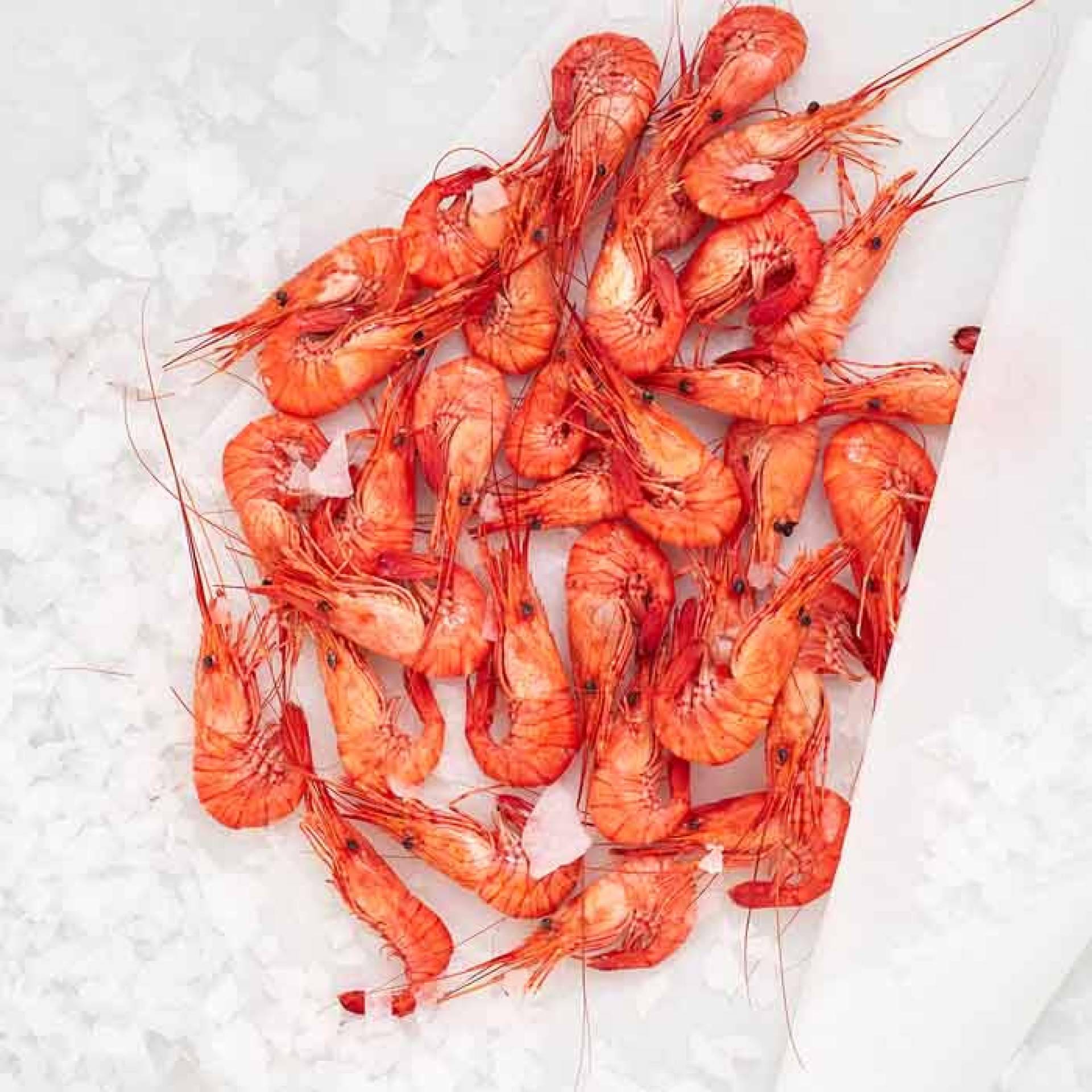 Marisco en Navidad; ¿Por qué comprar el marisco ahora y no dejarlo para el último momento?