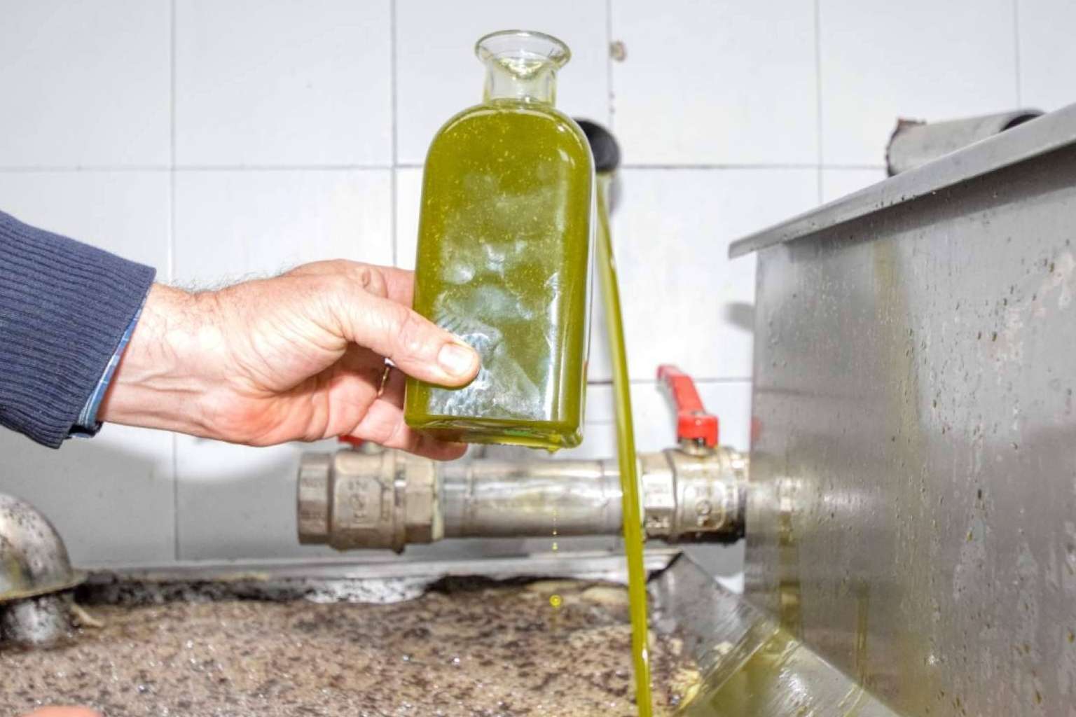 Beneficios del aceite de oliva sin filtrar en la salud de los consumidores, por Tercio de las Torres