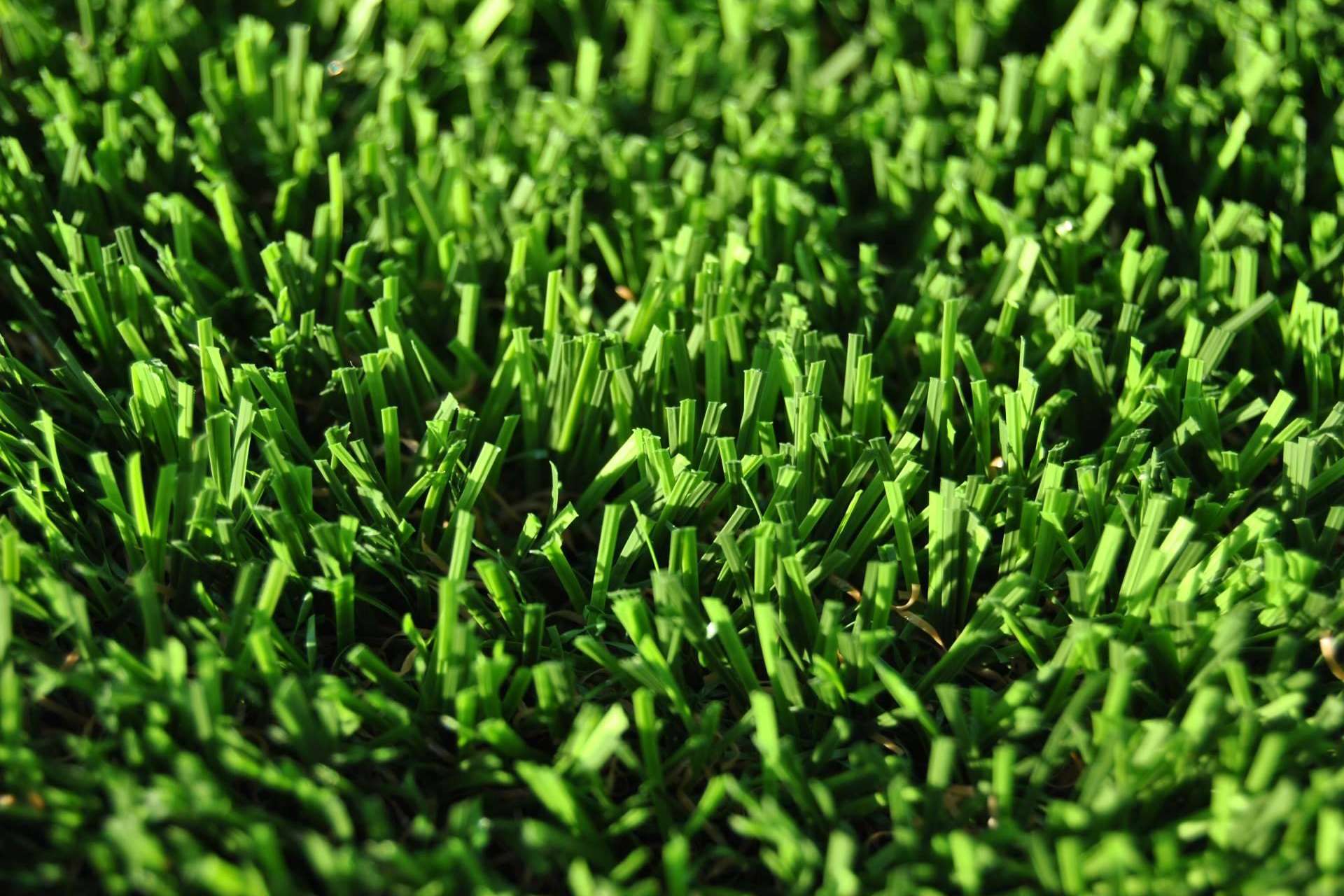 Césped artificial con aspecto natural y orgánico de la mano de Albergrass