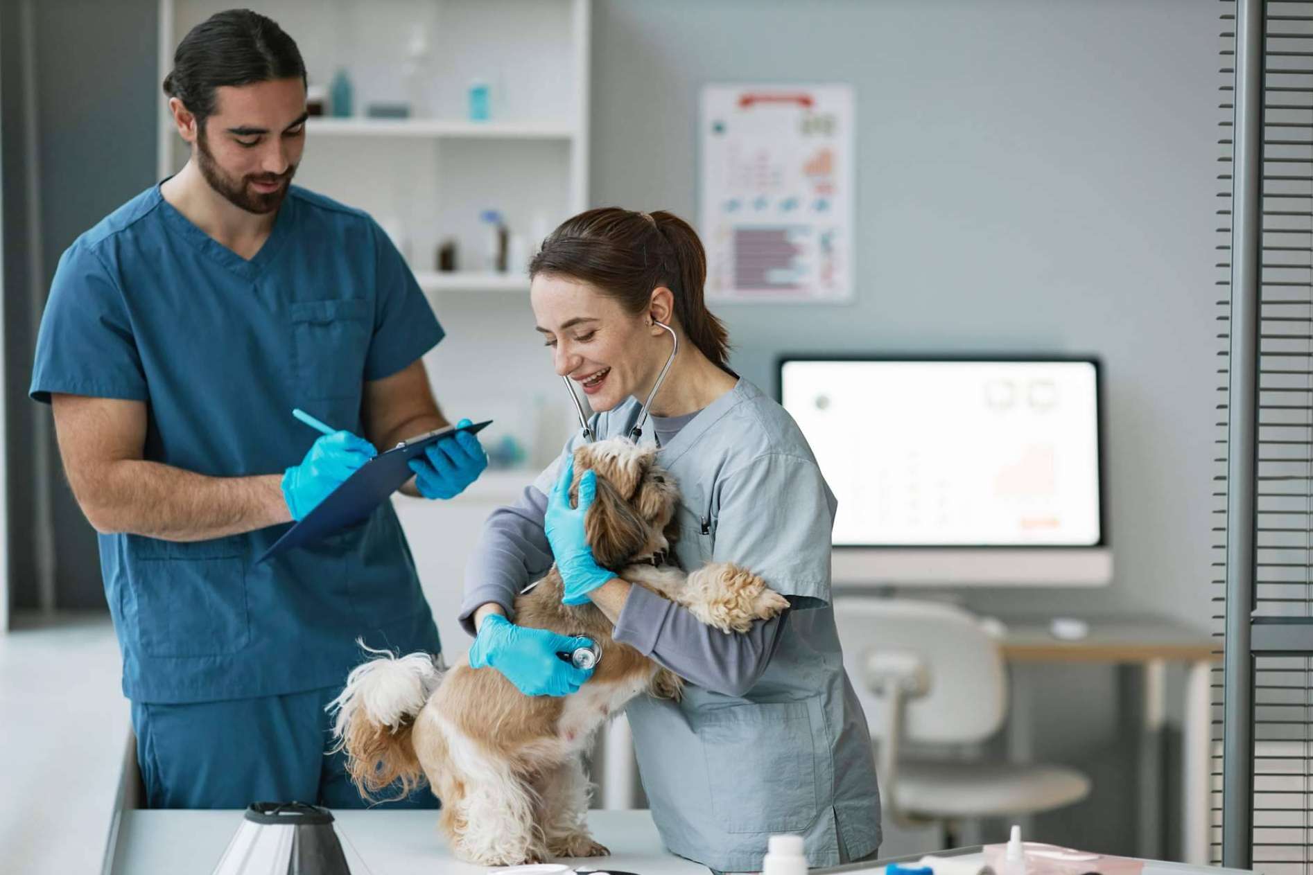 Cursos de animales para el desarrollo profesional en el sector