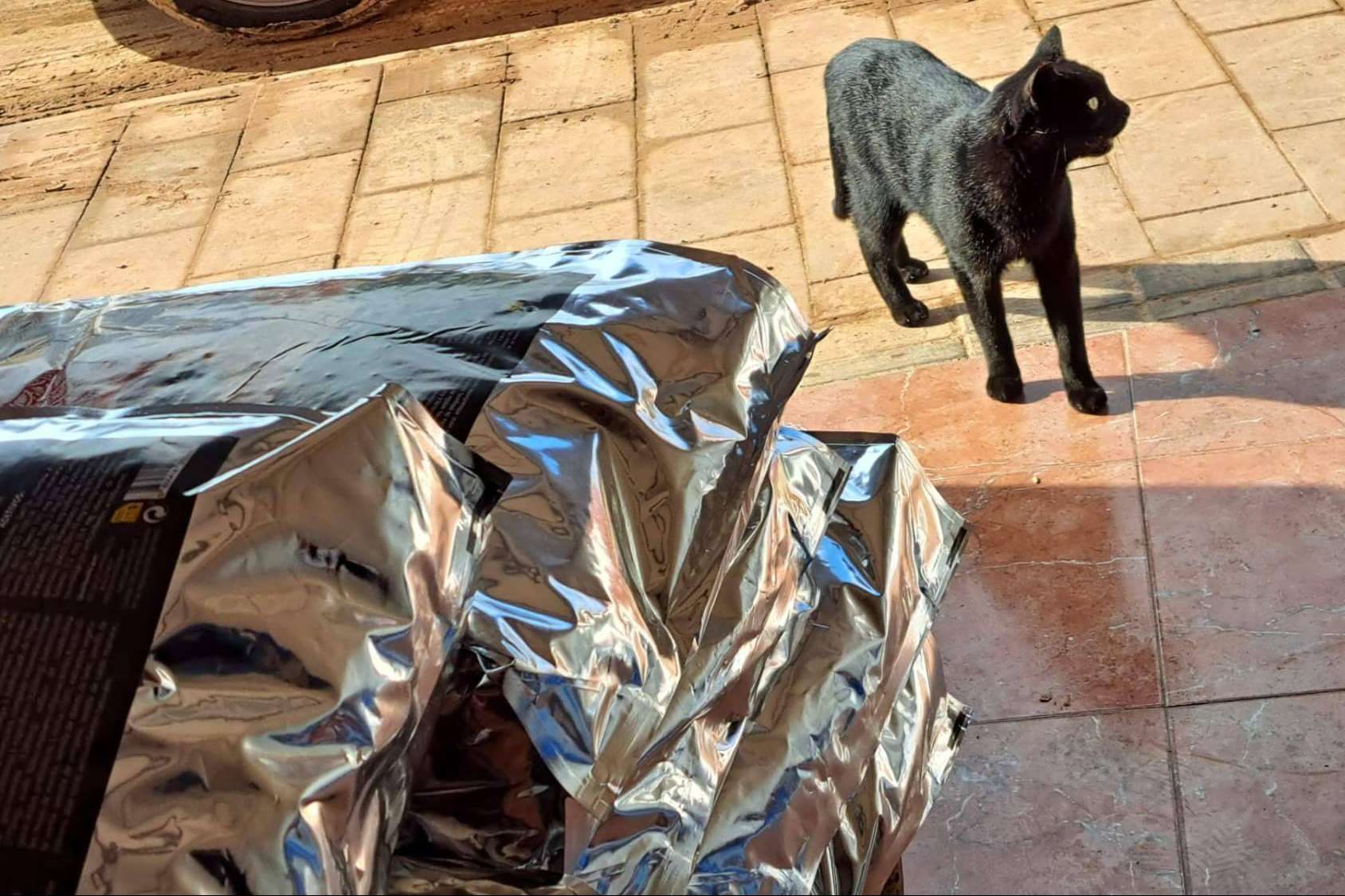 Ka Salud Integral lanza Solidaridad Feral para auxiliar refugios afectados por la DANA