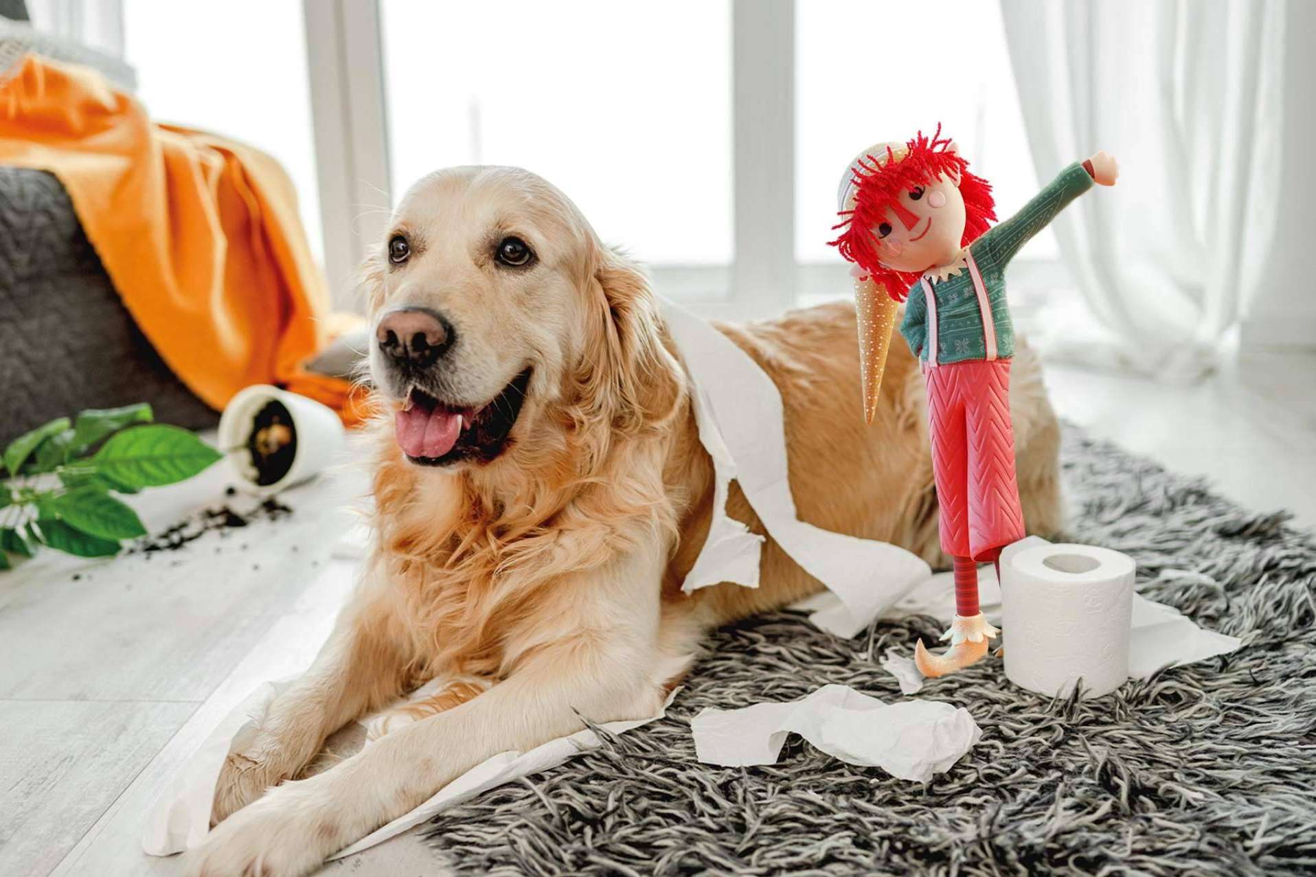 Mi Duende Mágico, la nueva tradición que inunda los hogares españoles